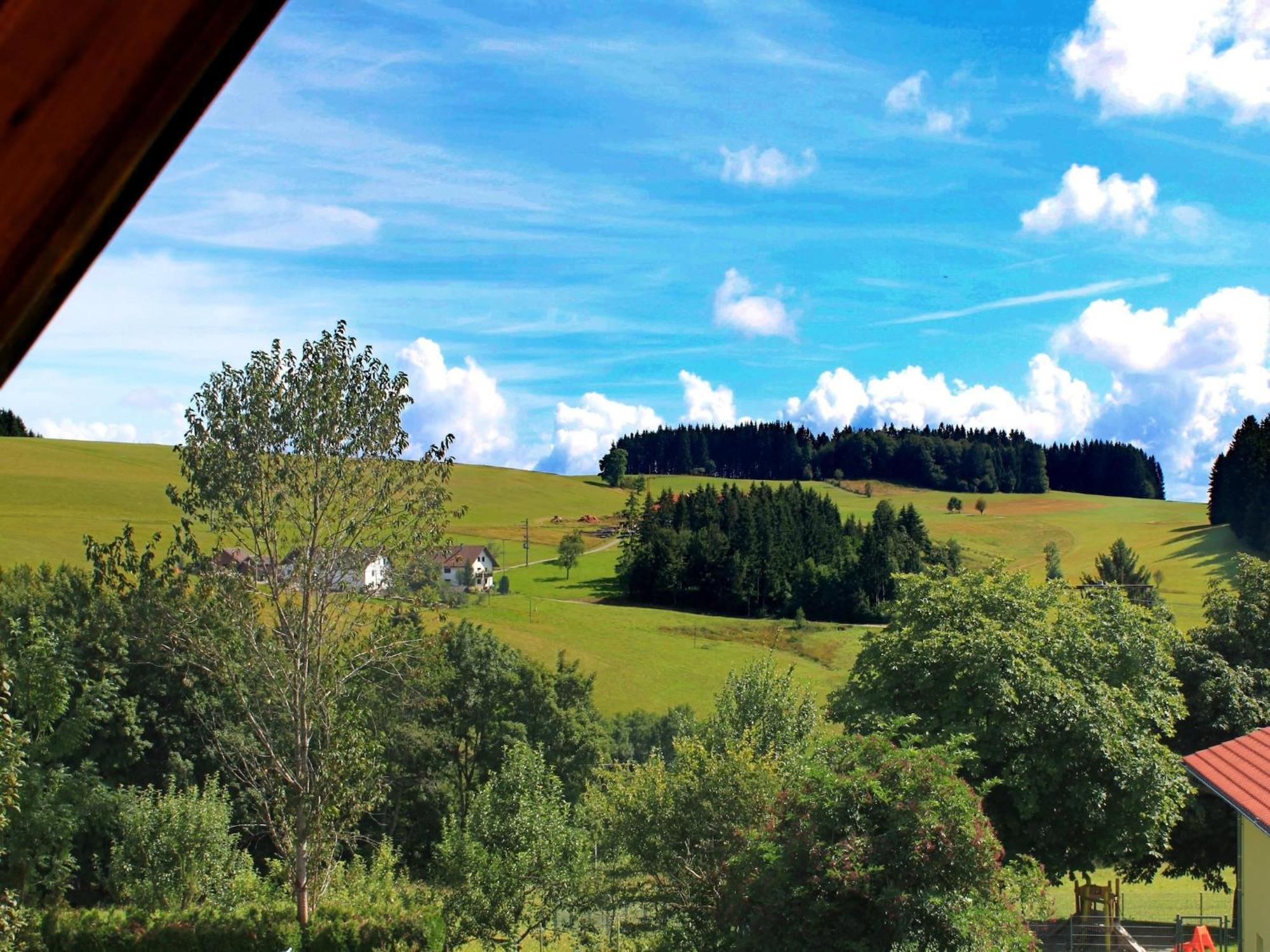 Beautiful Apartment Near The Lake Herrischried Eksteriør bilde